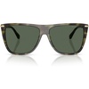 Sage Tortoise/Green