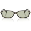 Sage Tortoise/Green